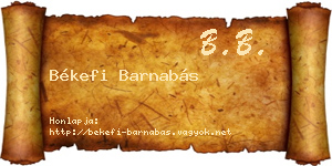 Békefi Barnabás névjegykártya